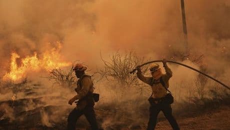 Kalifornien: Neuer Waldbrand wütet nahe Los Angeles