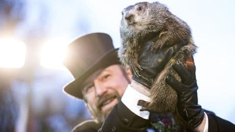 An earnest defense of America's silliest holiday: Groundhog Day