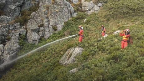 La evolución de los incendios: desescaladas y realojos en Extremadura y Zamora