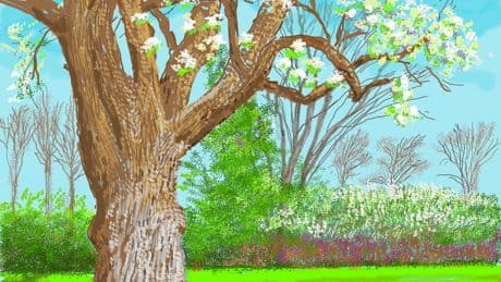 Alle joy die de Britse schilder David Hockney sinds 1955 over ons heeft uitgestort, is nu verzameld in Parijs