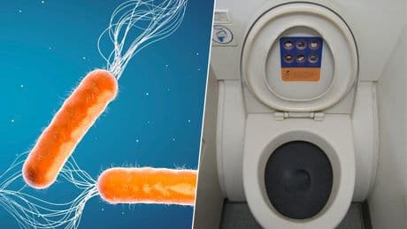 Nadie sabe cómo combatir las superbacterias, pero hay quienes ya son de ayuda: los que hacen caca en los aviones