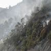 Ukrainische Drohne stürzt ab: Waldbrand in Südrussland bedroht Putins angebliche Luxusresidenz