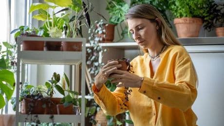 Woman goes above and beyond for tiny creature her partner almost killed