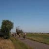 Von Mühlen, Bären und Wölfen: Eine flotte Radtour durch den Fläming