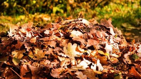 Exact date and time of autumn equinox and when the clocks go back