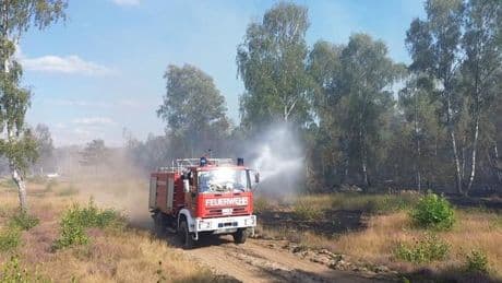 Trockenheit: Hohe Waldbrandgefahr in großen Teilen Brandenburgs