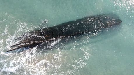 Child with metal detector finds nearly 200-year-old shipwreck