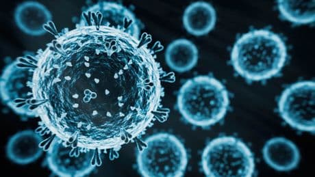 Descubren un mecanismo que altera la microbiota intestinal y aumenta la aparición de enfermedades