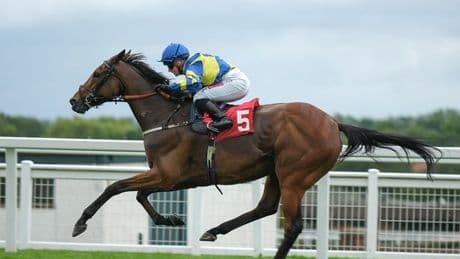 'Devastated' Hollie Doyle and Alan King tributes to legendary Trueshan after fatal injury