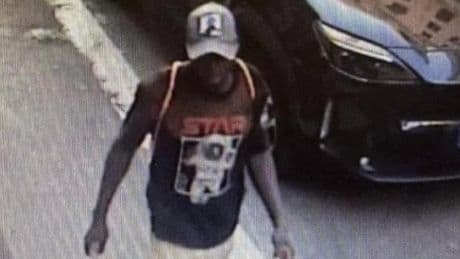 Stupro di Roma, il gambiano avrebbe violentato anche una 44enne prima dell'arresto