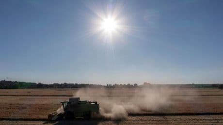 Farmers fears for crops as worst drought in decades hits northern Europe