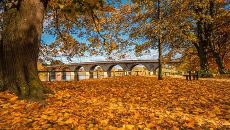 Charming UK market town with no tourists 'perfect for a staycation'