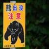 'Bear attack victim' was actually killed by son, Japan police say