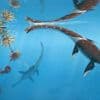 Urzeit-Schwimmer: Forscher präsentieren urtümliches Meeresreptil aus Dino-Zeit