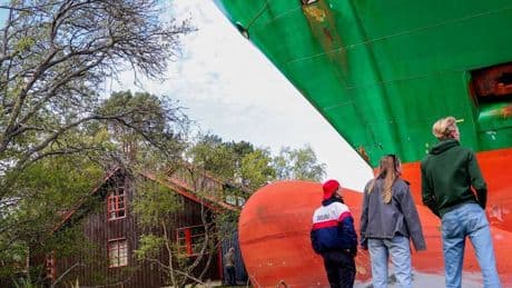 Beinah-Katastrophe in Norwegen: Plötzlich steht ein Containerschiff im Garten – „Sollte nicht passieren...“