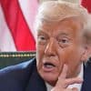 "Das kann nicht Ihr Ernst sein": In der Woche der Wahrheit kommt Trump der EU-Deal wie gerufen