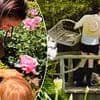 Meghan Markle shares a rare video of daughter Lilibet playing with a Jellycat after William revealed the British toy is 'his children's currency'