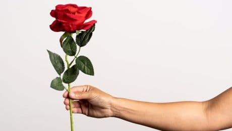 Wie ich mich einmal bei der „Bachelorette“ bewarb. Und warum das schiefging