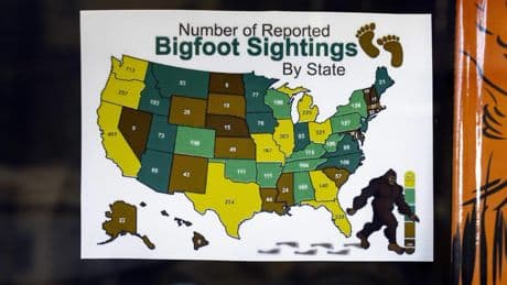 Bigfoot voor de zoveelste keer ’gespot’ in de VS: waarom blijven Amerikanen in het mythologische wezen geloven?