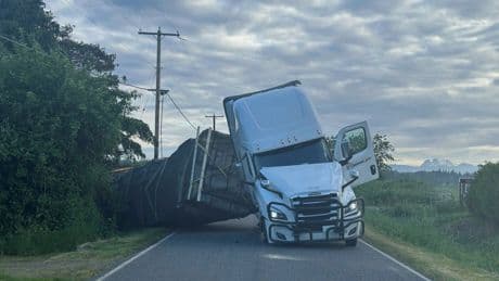 Millions of honeybees abuzz after truck overturns in Washington state