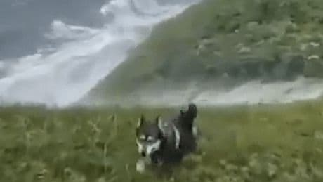Russland: Video zeigt Tsunamiwellen nach Erdbeben in Kamtschatka