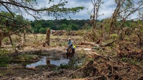 More than 30 million people at risk of flash flooding just weeks after deadly Texas floods