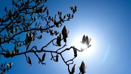 Wetter: Milder Samstag in Niedersachsen und Bremen, Regen am Sonntag