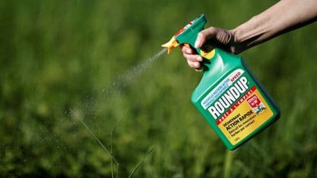 Muss Monsanto sterben, damit Bayer überlebt?