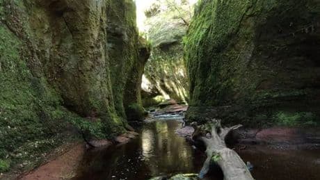 Dog sparks major rescue mission after falling in Scots Outlander gorge
