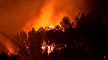 Von italienischer Brücke gestürzt - Lkw-Unfall verursacht Flammen-Inferno
