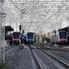 Mexico's Maya Train derails in the Yucatan Peninsula, but no injuries reported