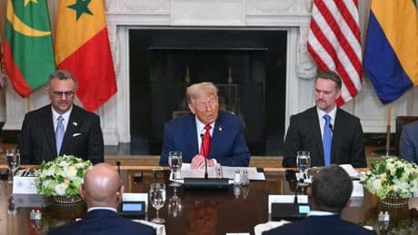 Trump veut appliquer son mantra en Afrique : « Le commerce, pas l’aide »