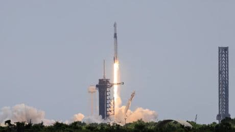 La misión Crew-11 de la NASA y SpaceX despega con cuatro tripulantes a la EEI