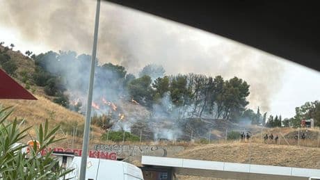 El Infoca da por estabilizado el incendio forestal declarado en el paraje Monte Coronado en Málaga capital