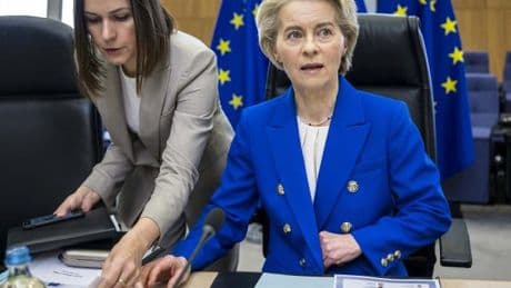 Steuergelder für die Selbstzerstörung Deutschlands