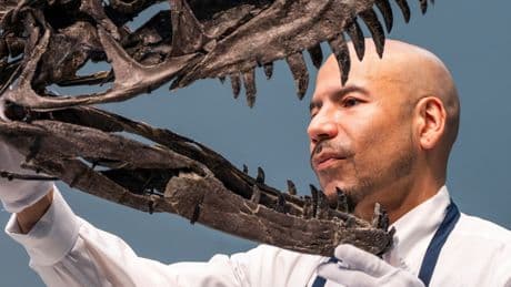 Ceratosaur Fossil Auctioned for $30.5 Million by Sotheby’s