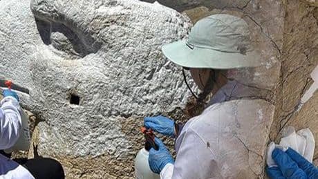 Nemrut Dağı'nın dev heykellerine 'nano kireç' kaplaması!