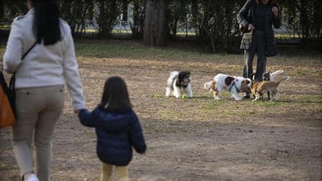 Casi la mitad de los catalanes cree que la familia y los contactos ayudan más que el talento