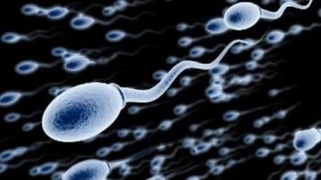 Bélgica tilda de negligencia el caso del donante de esperma con gen cancerígeno que es padre biológico de 67 personas
