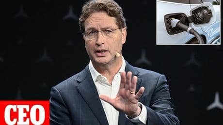 Boss at major German car maker calls for 'reality check' on EV switch
