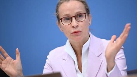 „Wahrscheinlich Promotionsbetrug“ – Plagiatsjäger erhebt neue Vorwürfe gegen Brosius-Gersdorf