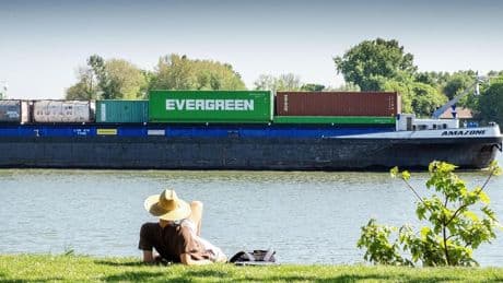 Grijze start maakt plaats voor zon: stralende middag met temperaturen tot 21 graden