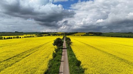 Maximal 24 Grad: Milder Wochenstart mit Sonne und Wolken in Thüringen