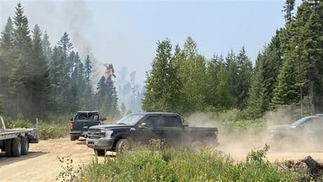 Extreme wildfire risk prompts closure of all Crown land in New Brunswick