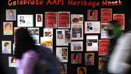 Asian American, Native Hawaiian and Pacific Islander Heritage Month has only grown in 5 decades