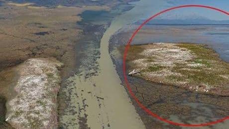 Türkiye'nin en büyüğü! Felaket görüntüler: ‘Söyleyeceğimiz tek bir şey var, başımız sağ olsun’