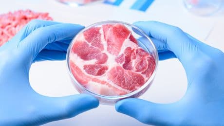 Von der Petrischale auf den Grill: Gezüchtetes Fleisch wird immer besser