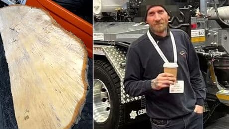 Sycamore Gap duo 'took wedge of tree as trophy' and police have never found it