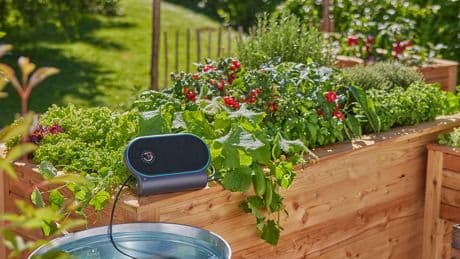 Automatisch Pflanzen gießen: Dieses System ist die ideale Urlaubsvertretung
