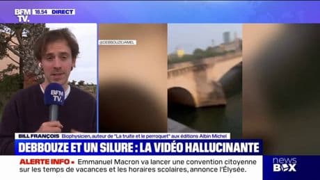 "Il y en a plusieurs milliers dans la Seine, rien qu'à Paris": Bill François, biophysicien qui a attrapé un silure devant Jamel Debbouze, réagit sur BFMTV